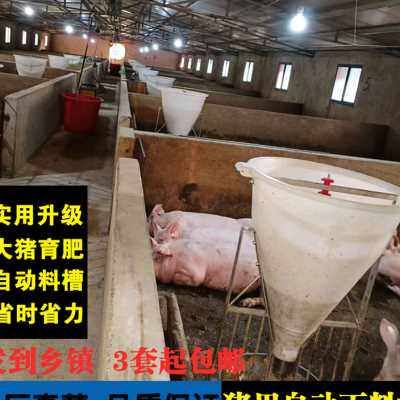 80公斤细桶猪料槽猪自动采食槽下料器大猪育肥不锈钢食槽养殖设备