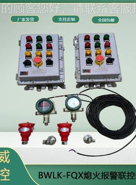 热风炉火焰探熄自火保装置 BWLK-FQX可手测动护/动