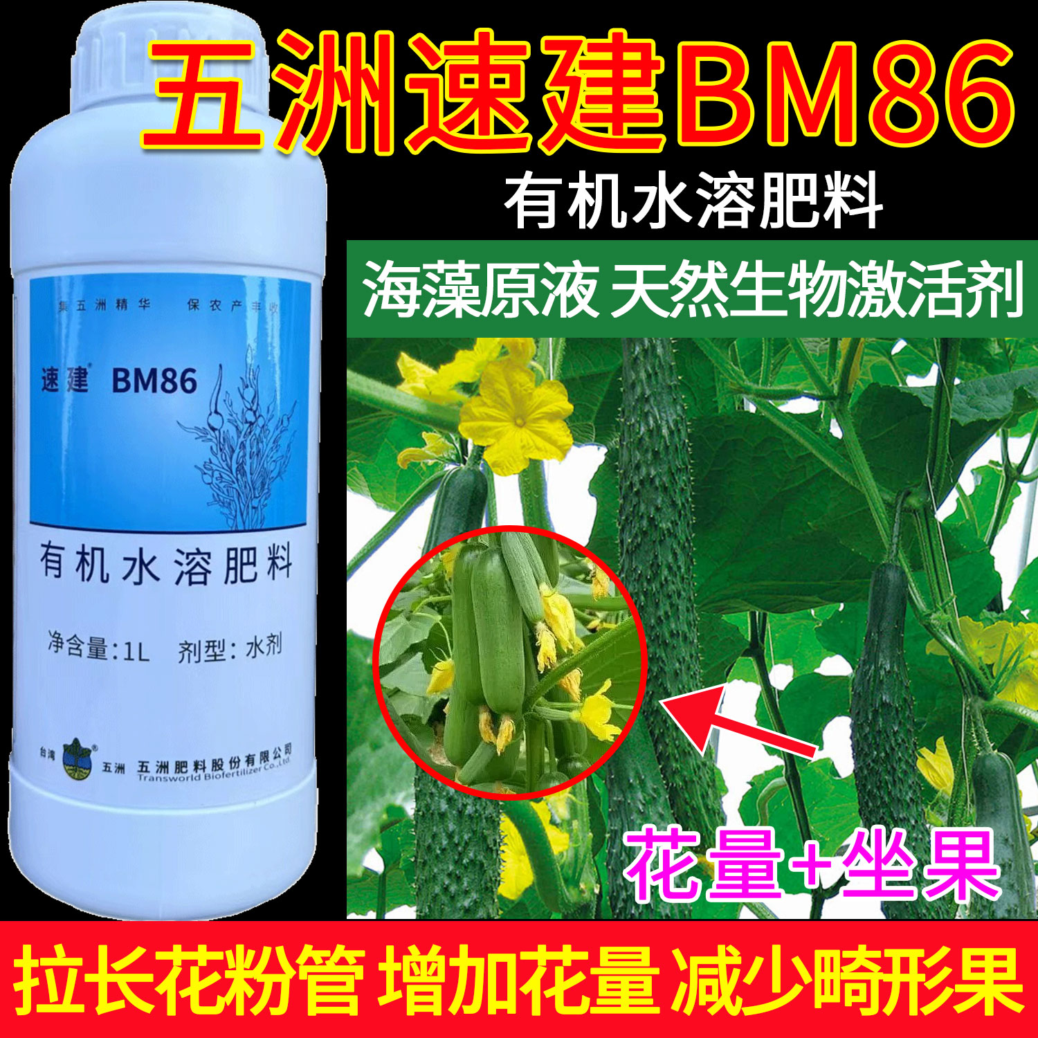 原装正品台湾五洲速建BM86有机水溶肥料正牌叶面肥天然的生物激活