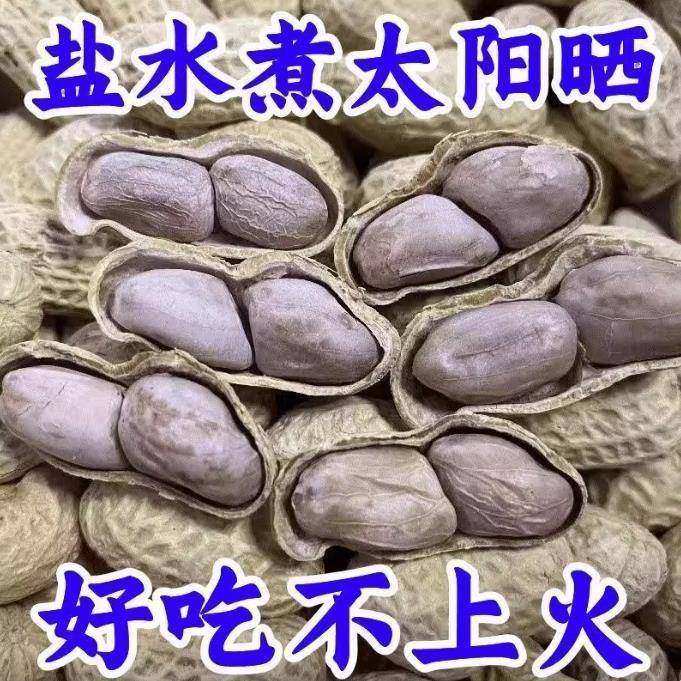 2026年新货水煮花生晒干农家水煮咸干花生白晒花生坚果零食特产