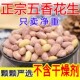 新货五香花生米山东特产烤熟蒜香奶香多味花生休闲零售食下酒菜