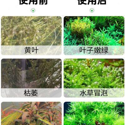 二氧化碳小气瓶草缸发生器鱼缸水草专用高压自制无忧套装co2钢瓶
