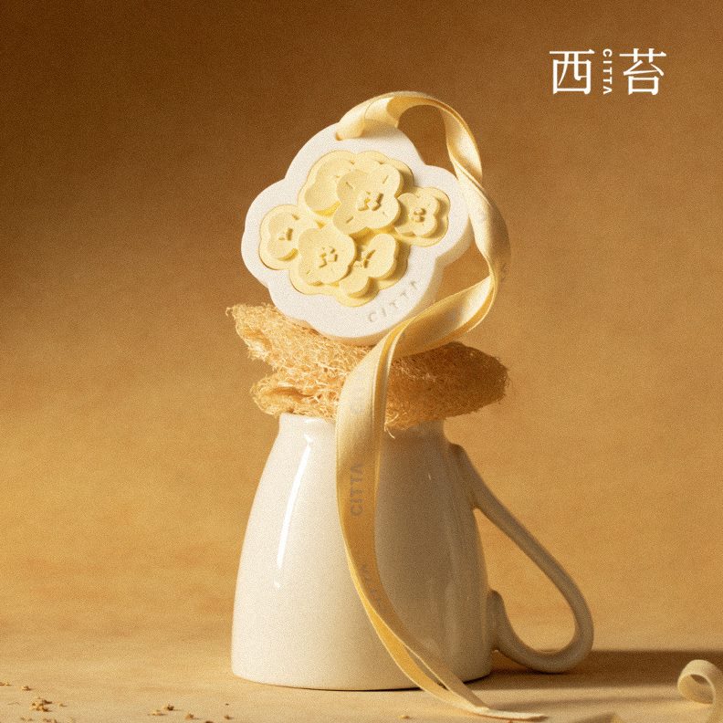 CITTA 车载香薰卧室衣柜持久留香固体香片伴手礼香挂石膏香氛