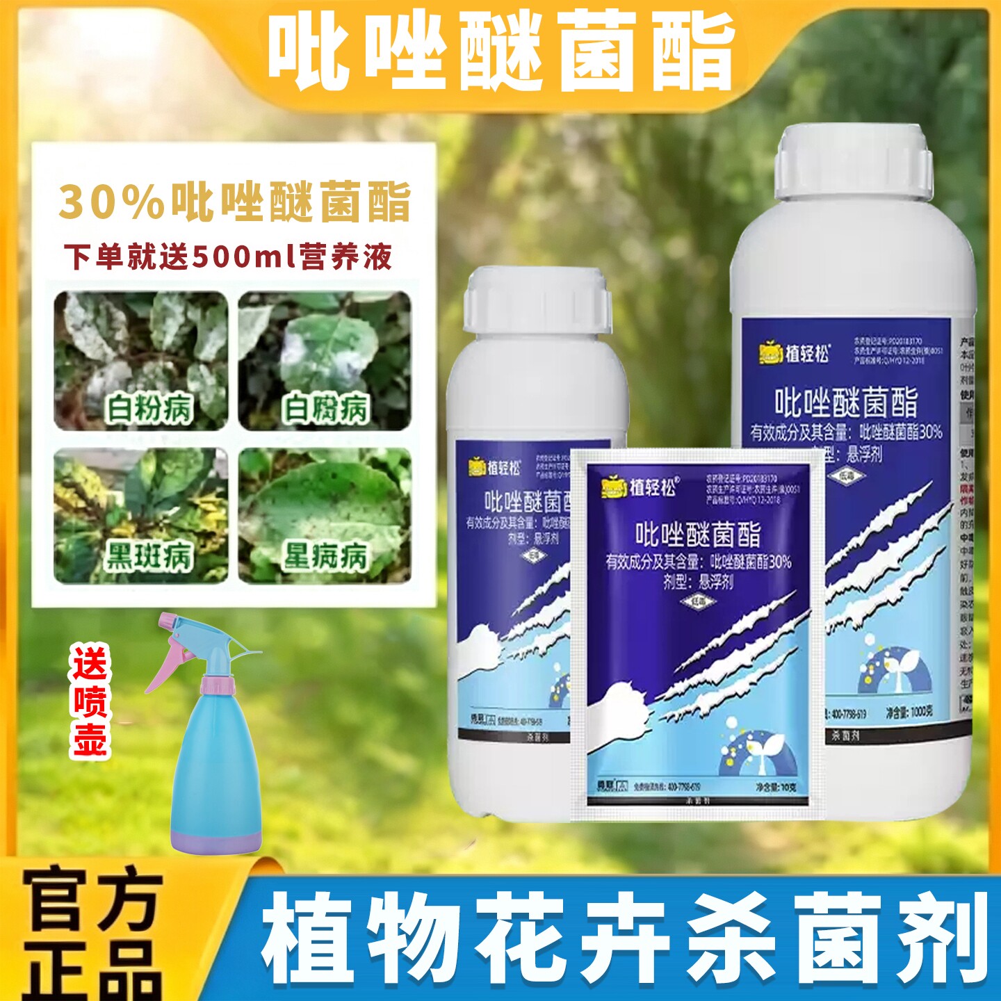 国光多菌灵植物花卉通用杀菌剂月季白粉病黑斑病多肉烟煤花药