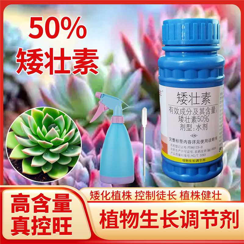矮壮素50%花卉盆栽控徒长