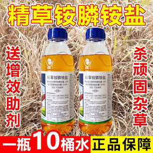 光除草剂 精草铵磷铵盐专用除草烂根剂一扫精草胺磷铵盐草铵磷正品