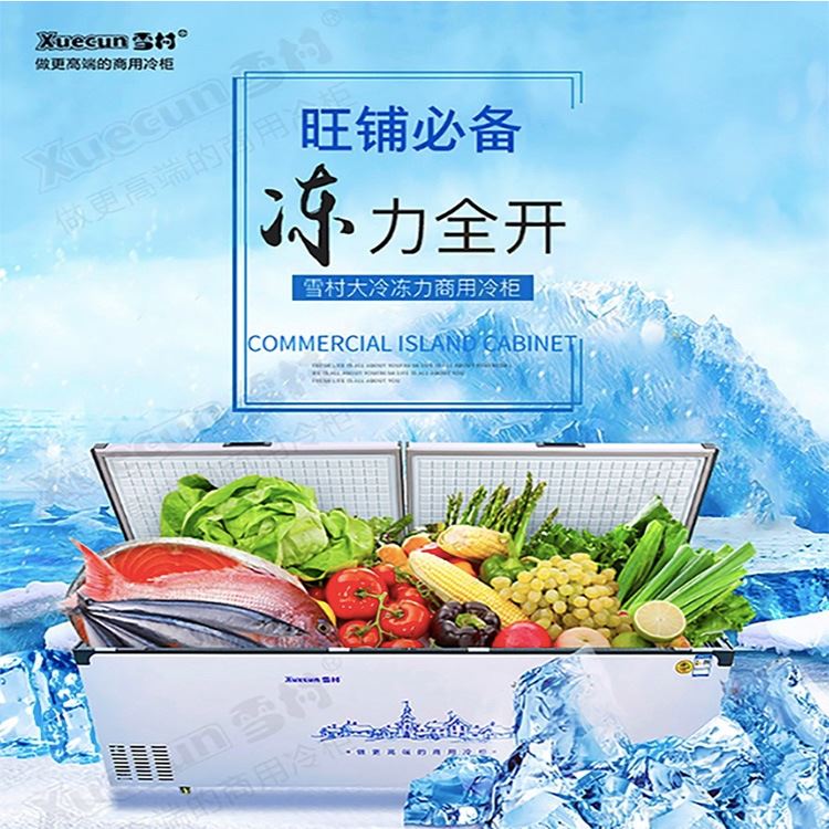顶开门曲底/平底冷柜 商用冷藏/冷冻雪糕冰淇淋大容量冰柜