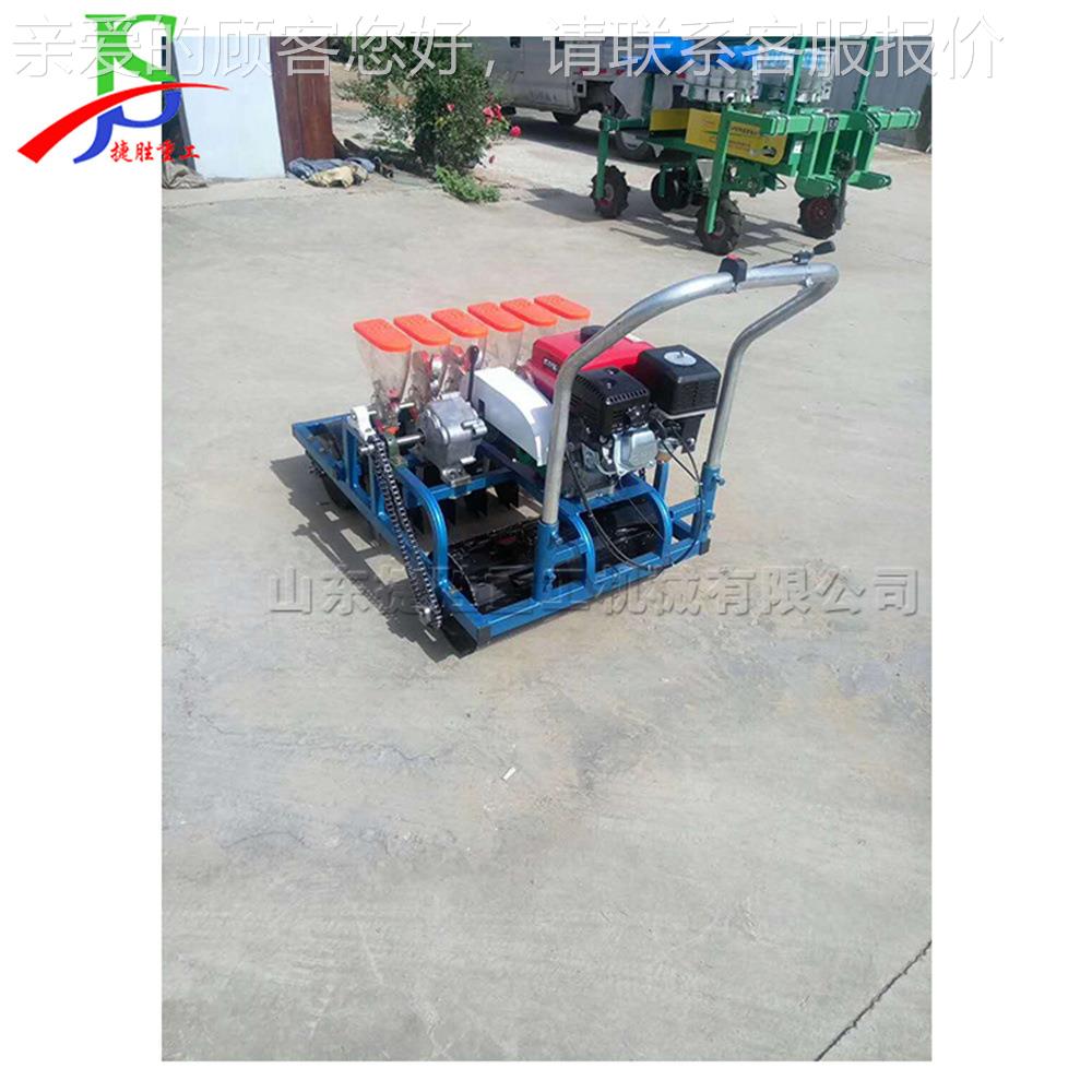 轻便式辣椒菜萝卜植机 棚蔬菜EKY种子点播机 农种大用小型播白种