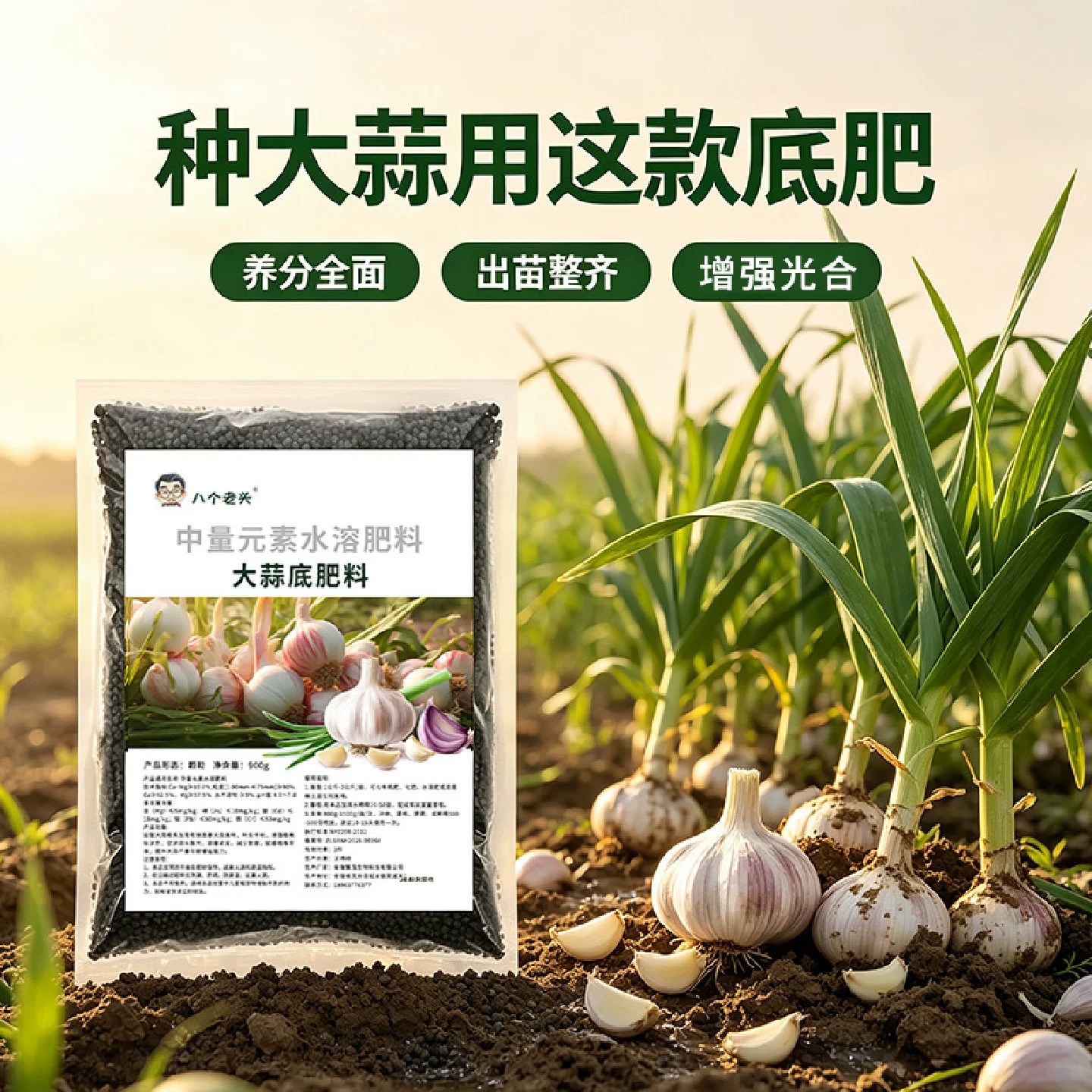 八个老头大蒜底肥料壮根壮苗蒜头饱满营养均衡增强光合水溶肥料