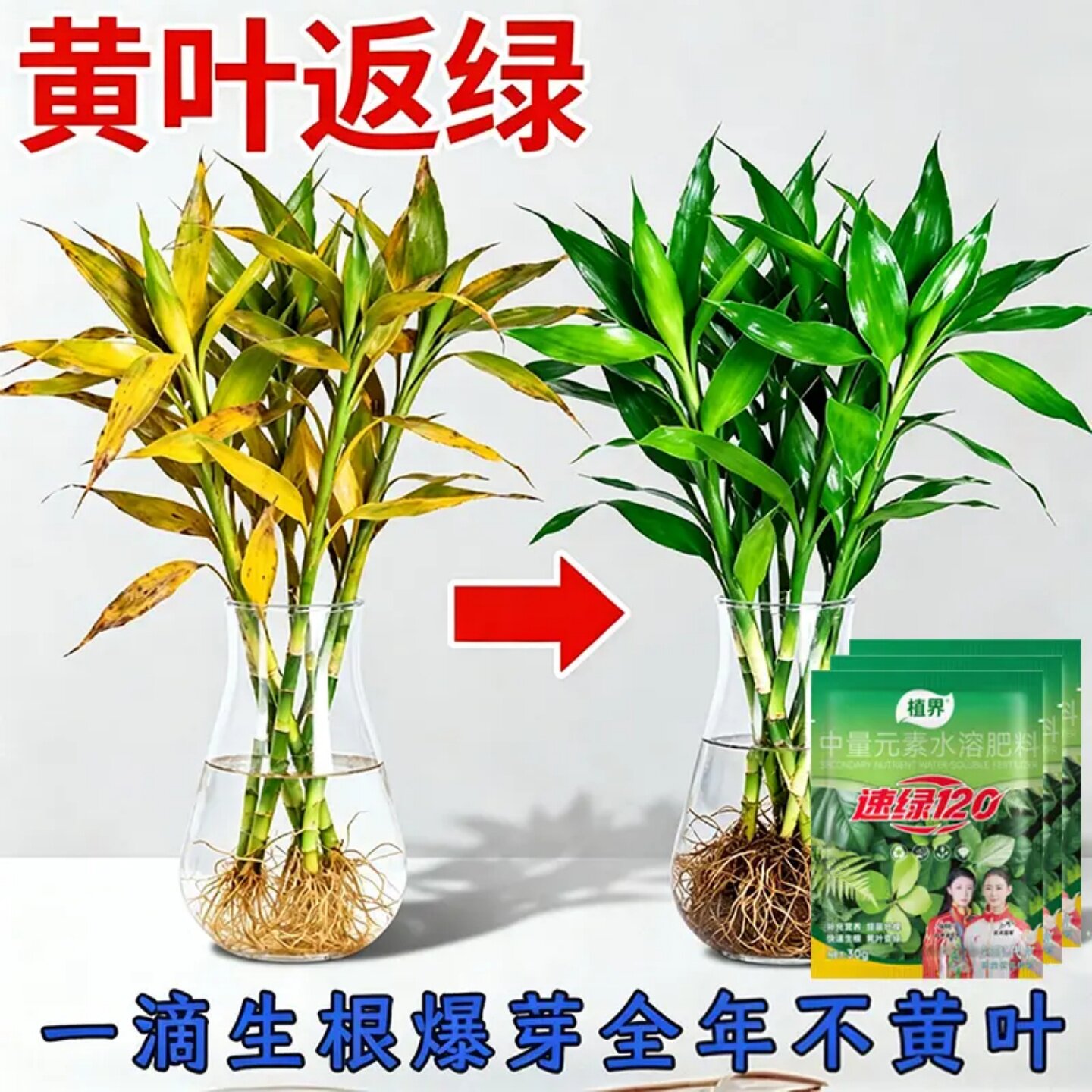 植界速绿120中量元素水溶肥料叶绿素增绿壮苗生根蔬菜专用壮根