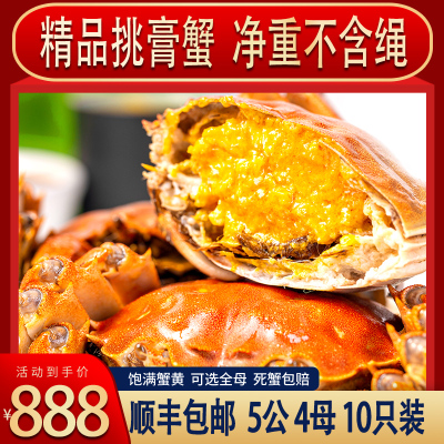 大纵湖大闸蟹满黄满膏