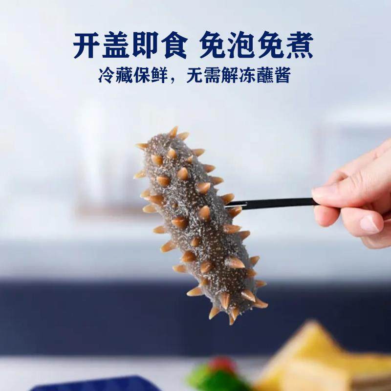 即食海参即食大连刺参单个 0装 50VIV深海底播野生海参大连g鲜食