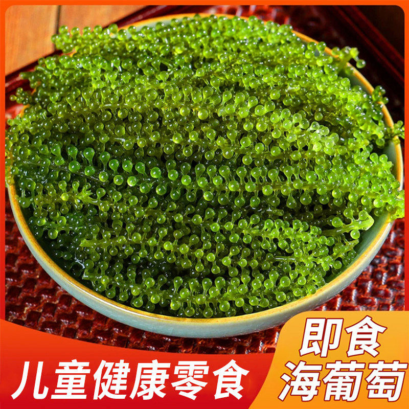 海葡萄即食儿童盐渍海带新鲜凉拌菜水葡萄海洋蔬菜绿色鱼子酱海藻
