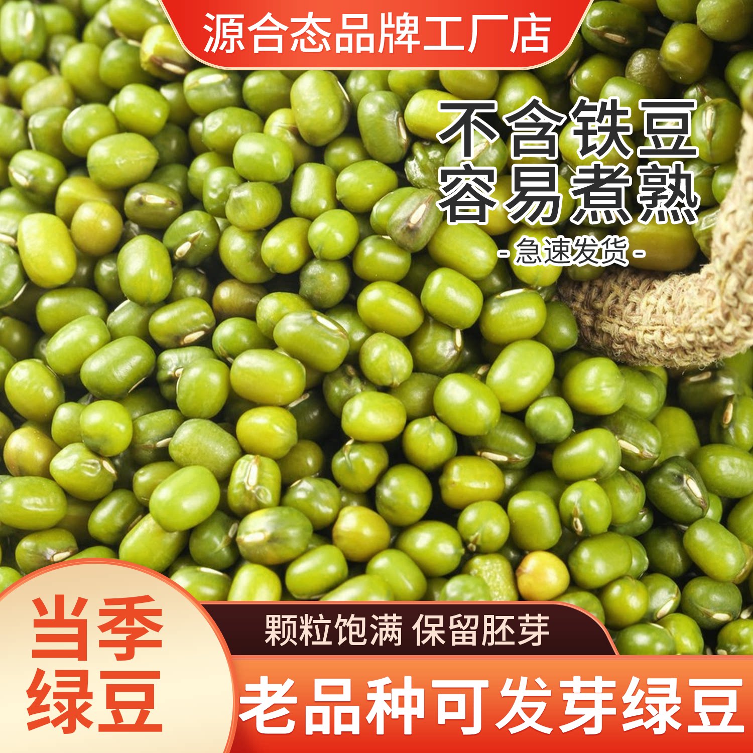 当季老品种绿豆新鲜可发芽图片