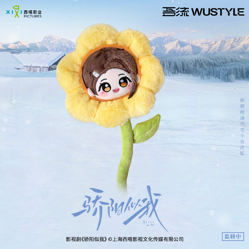 骄阳似我聂曦光款毛绒花束现货图片