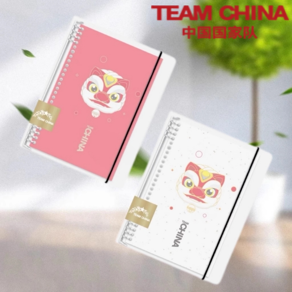 中国国家队德胜狮活页学生用本