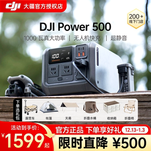 DJI 大疆 户外移动电源 Power 500 220 伏磷酸铁锂便携式蓄电池大容量户外便携应急摆摊太阳能可煮饭备用 v