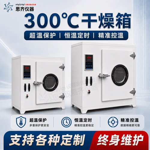 电热恒温鼓风干燥箱50-300度