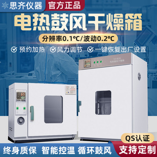 電熱恒溫鼓風干燥箱高溫加熱小型工業烤箱醫用烘干機實驗室烘箱
