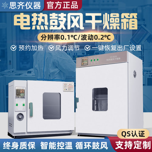 电热恒温鼓风干燥箱小型工业烤箱