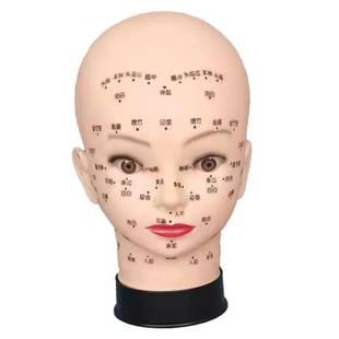2023美容院按摩练手法头模特脸部穴位学习皮肤管理带肩膀假人光头