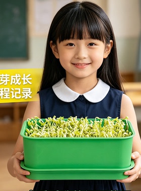 家用大容量绿豆芽盘观察记录