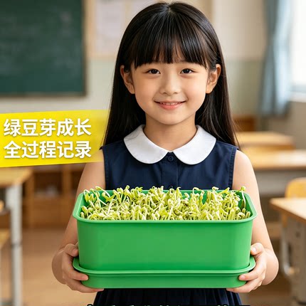 家用豆芽机大容量绿豆芽盘成长记录观察盒儿童科学实验教具幼儿园