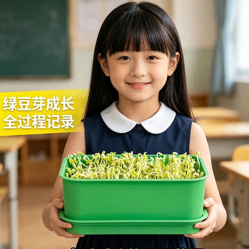 家用大容量绿豆芽盘观察记录
