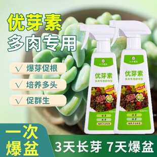 八个老头优芽素多肉专用催发芽形成侧芽爆优雅肥料多肉植物营养液