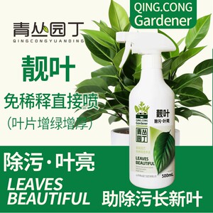 青丛园丁靓叶除污叶亮叶绿叶油亮长效家庭园艺通用即喷型营养液