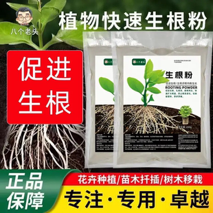 八个老头快速生根粉蔬菜瓜果花卉通用生根壮苗扦插移栽水培生根剂