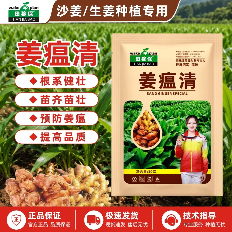 田稼保姜瘟清沙姜生姜种植专用改善作物根系健壮苗齐苗壮预防姜瘟