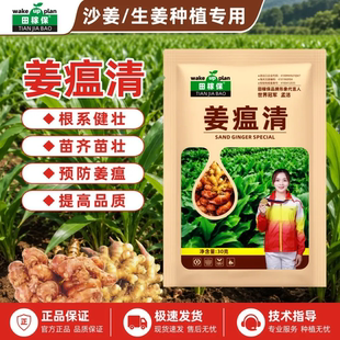 田稼保姜瘟清沙姜生姜种植专用改善作物根系健壮苗齐苗壮预防姜瘟