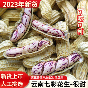 七彩花生米云南特产带壳晒干2023新货花生种粒熟原味野地五彩花生