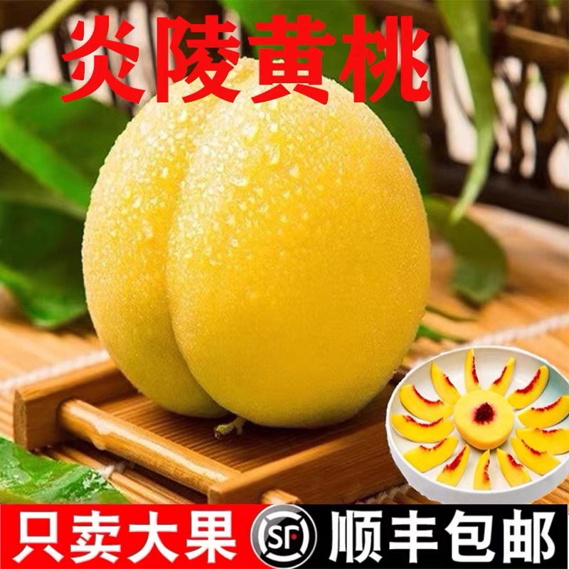 正宗炎陵黄桃新鲜水果现摘现发黄桃大果脆甜多汁红心桃子顺丰包邮