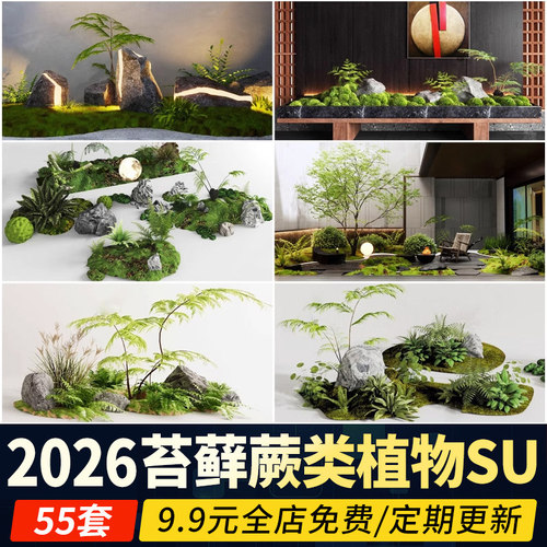 蕨类植物苔藓枯山水耐阴植物景观小品室内微景观草图大师SU模型