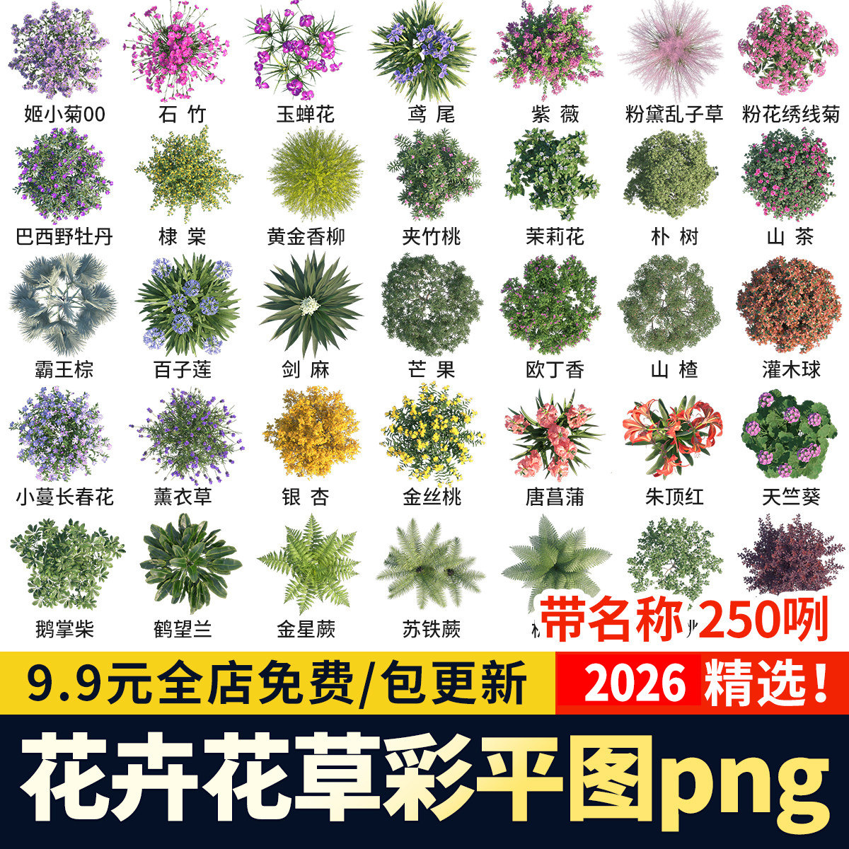 procreate彩平图植物树草花卉花境乔灌木平面图例PSD/PNG免抠素材