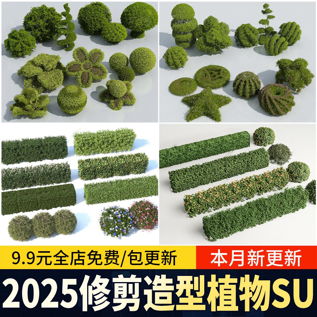 棒棒糖多头造型植物树木组合修剪亮晶女贞灌木球形绿篱庭院su模型