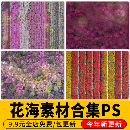 花海彩平图无缝俯视鸟瞰SU贴图材质效果图后期花田平面图PS素材