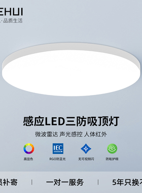 LED感应吸顶灯声控雷达红外家用过道酒店走廊消防通道车库感应灯