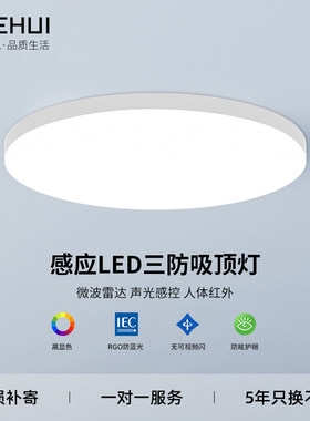 LED红外声控雷达感应吸顶灯