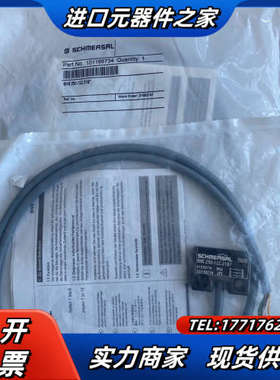 SCHMERSAL施迈赛BNS 250-12Z-2187安全议价