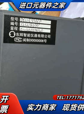 东辉仪表DY2000 智能数字显示仪DY21E9966P 量议价