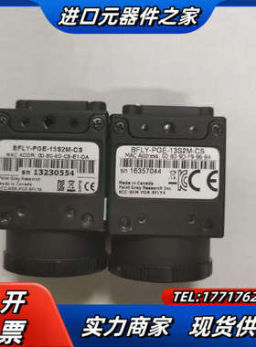 POINTGREY BFLY-PGE-13S2M-CS 灰点议价