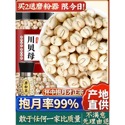 川贝四川贝母中药材川贝母粒正品50克野生官方旗舰店搭川贝陈皮粉