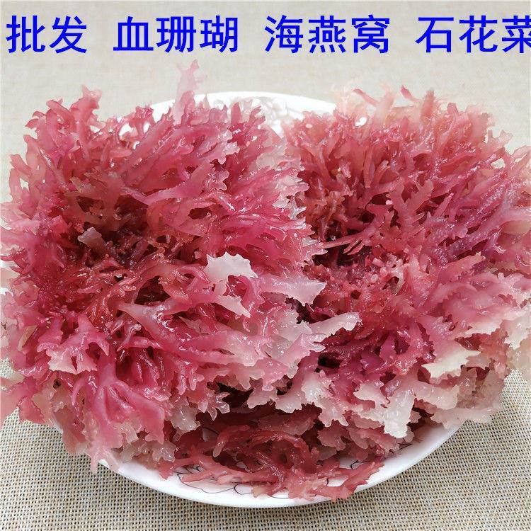 一级红石花菜500麒麟菜血珊瑚草海燕窝海石花膏海凉粉海冻菜干