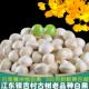 银杏果白果2024年新鲜果云南腾冲银杏村老品种古树绿心日料糯白果