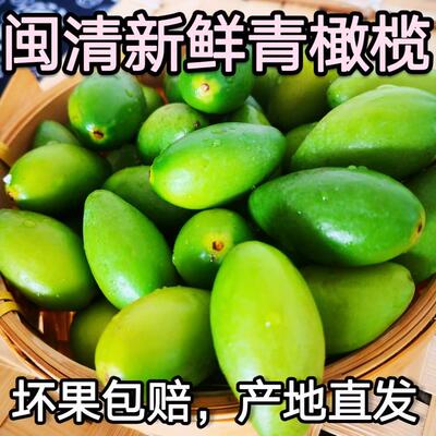 新鲜闽清青橄榄福州闽侯生吃橄榄回甘煲炖汤青果福建水果现摘现发