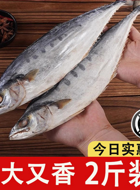 北海马鲛鱼干500g风干日晒咸鱼干淡干海鱼干鲅鱼干特色梅香大鱼干