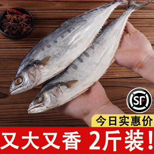 整条风干马鲛鱼干，梅香咸鱼干货，新鲜品质